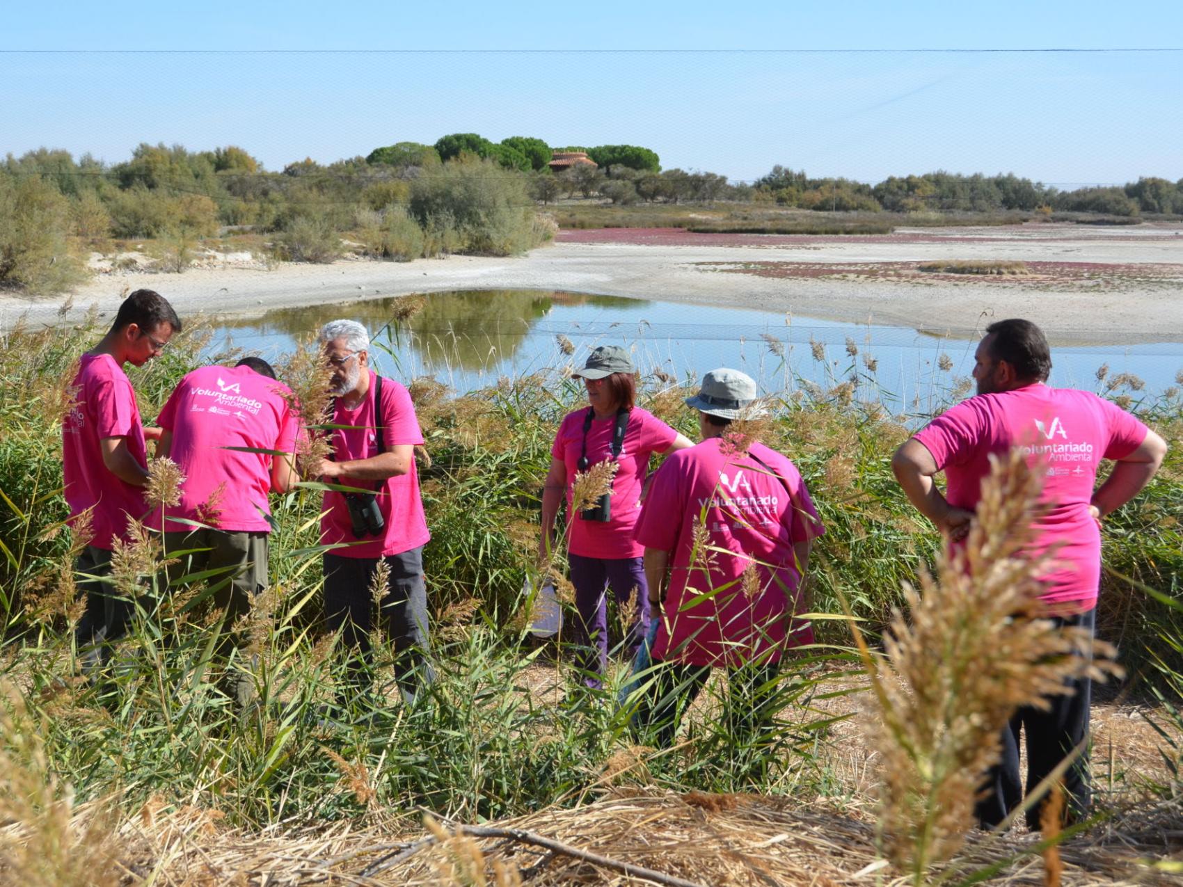 Voluntariado ambiental: "anillamiento de aves"