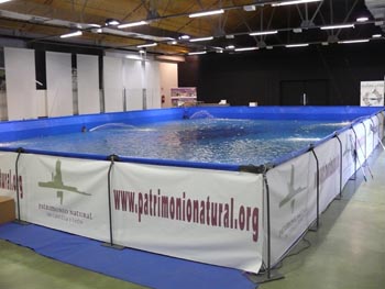 LA SALA DE EXPOSICIONES DE ADIF, SE LLENA DE AFICIONADOS A LA PESCA