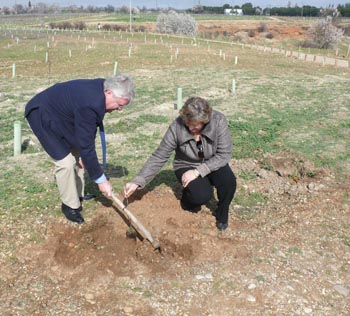 GRUPO EL ARBOL Y LA FUNDACIÓN PONEN EN MARCHA LA INICIATIVA “UN ÁRBOL HOY, UN BOSQUE MAÑANA" 