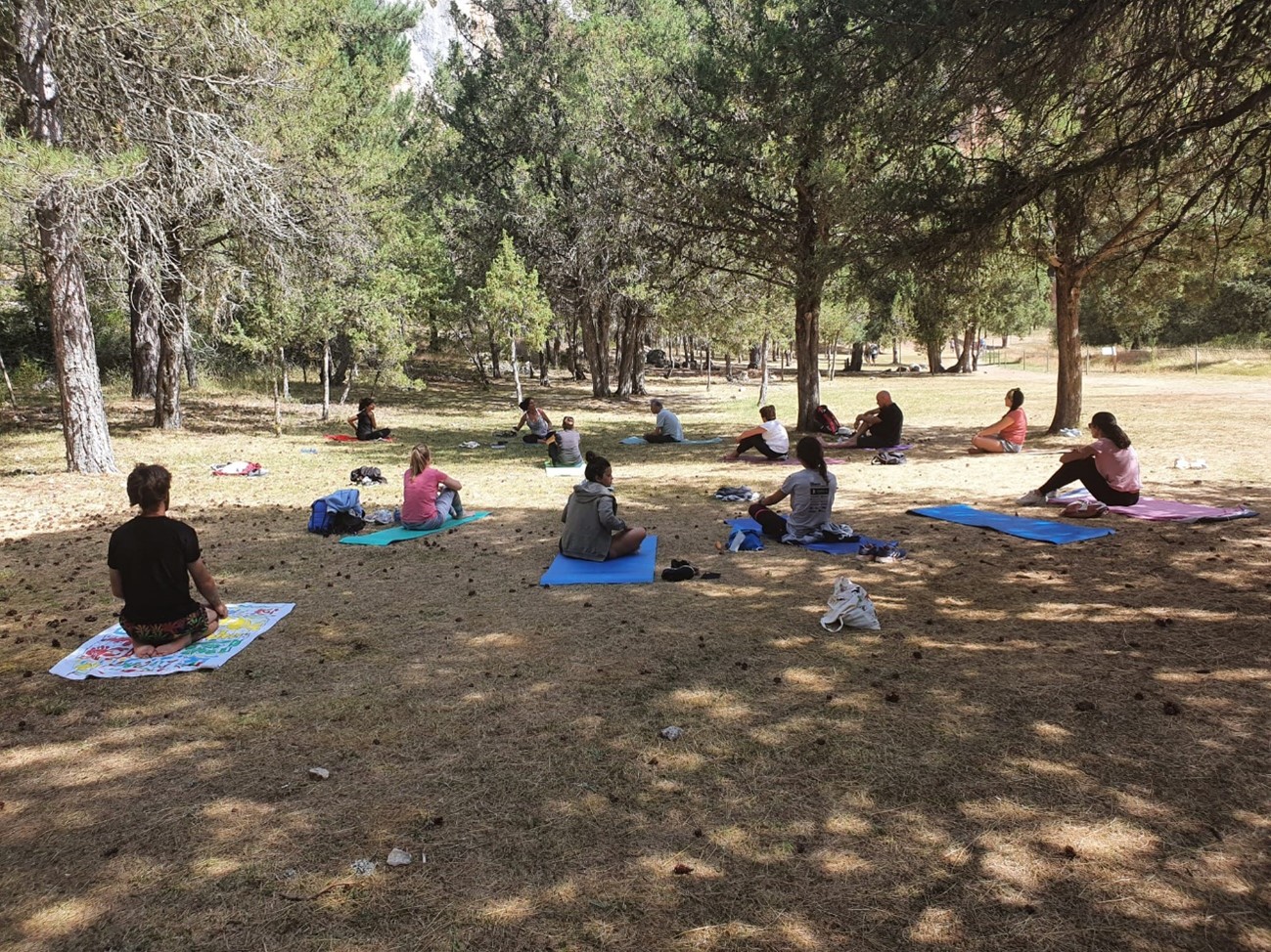 Yoga en la naturaleza y baños de bosque