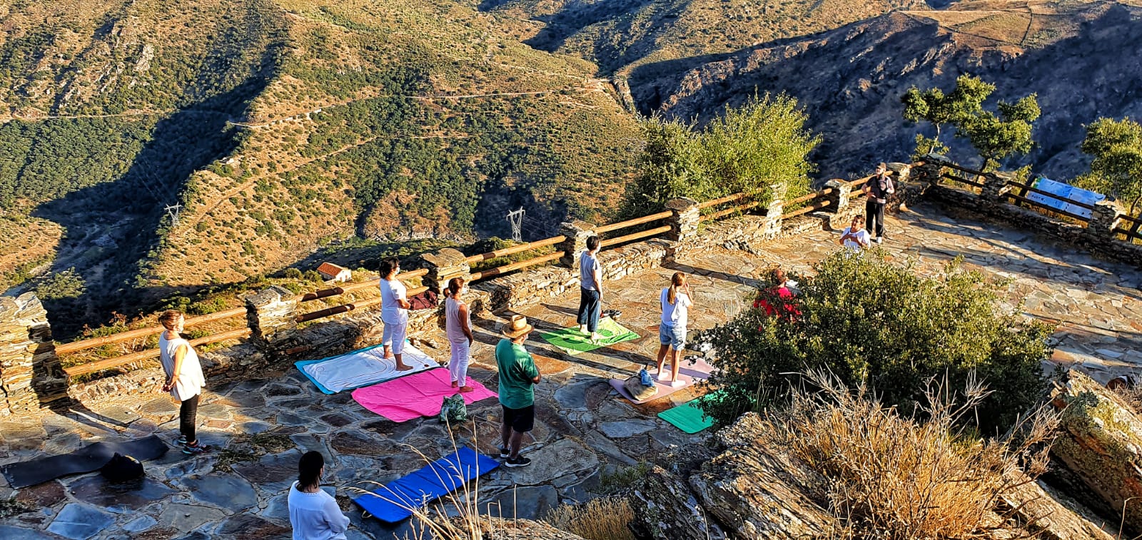 Yoga en la naturaleza
