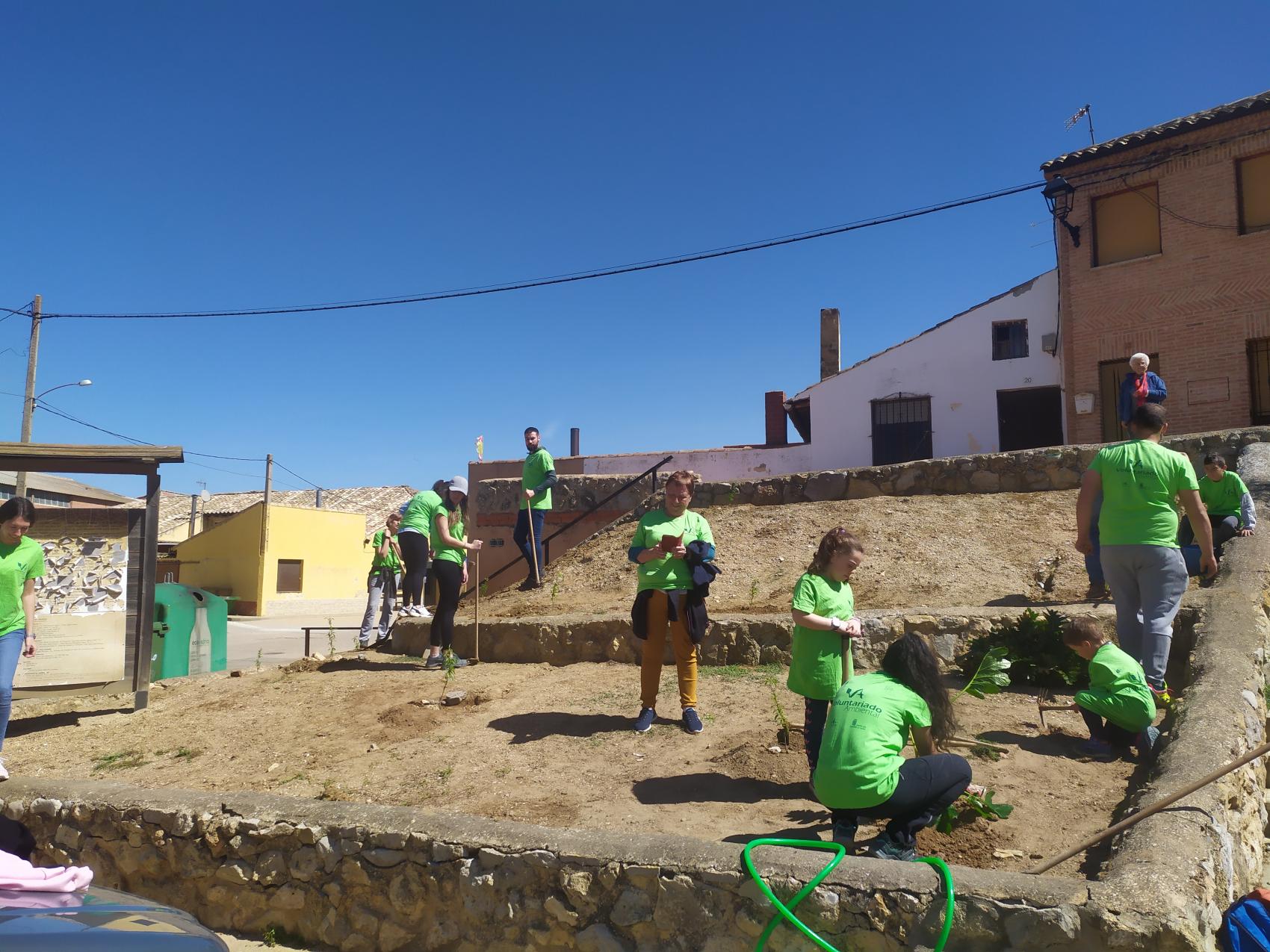 Voluntariado ambiental día del árbol