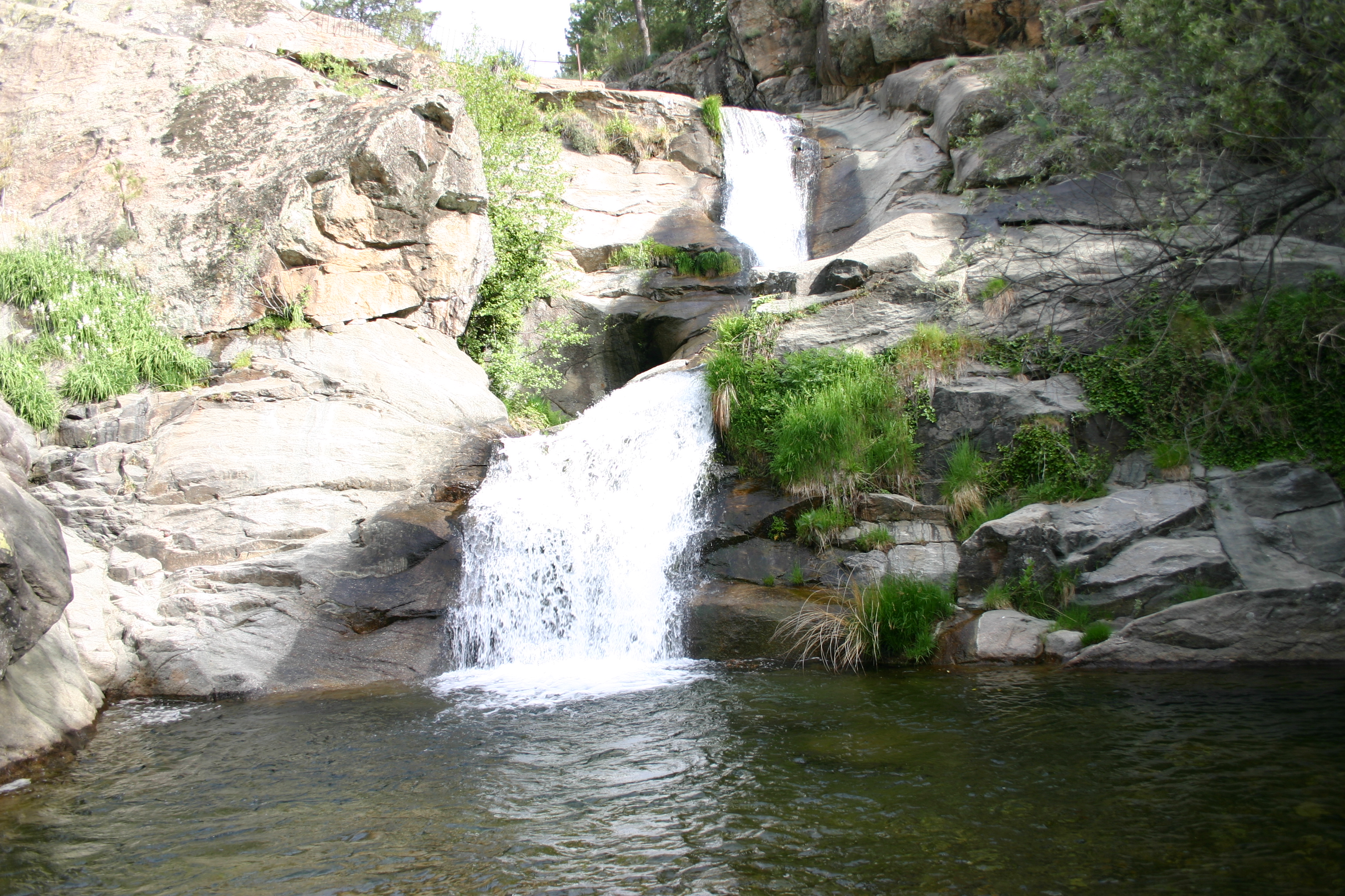 El Patrimonio Natural de la Sierra de Gredos, protagonista este sábado en Guisando