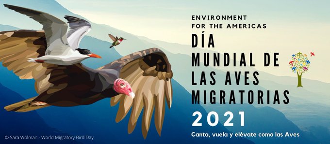 Día mundial de la aves migratorias 2021