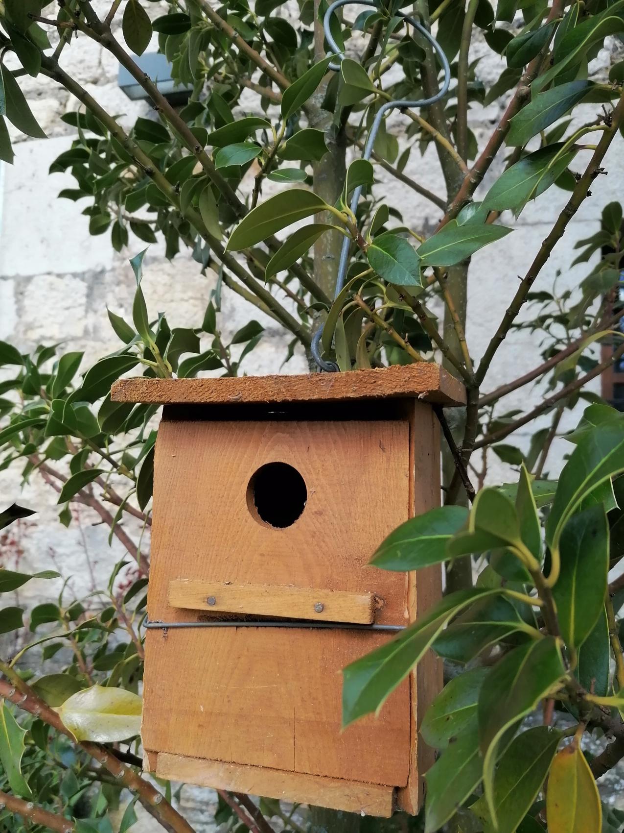 colocacion cajas nido