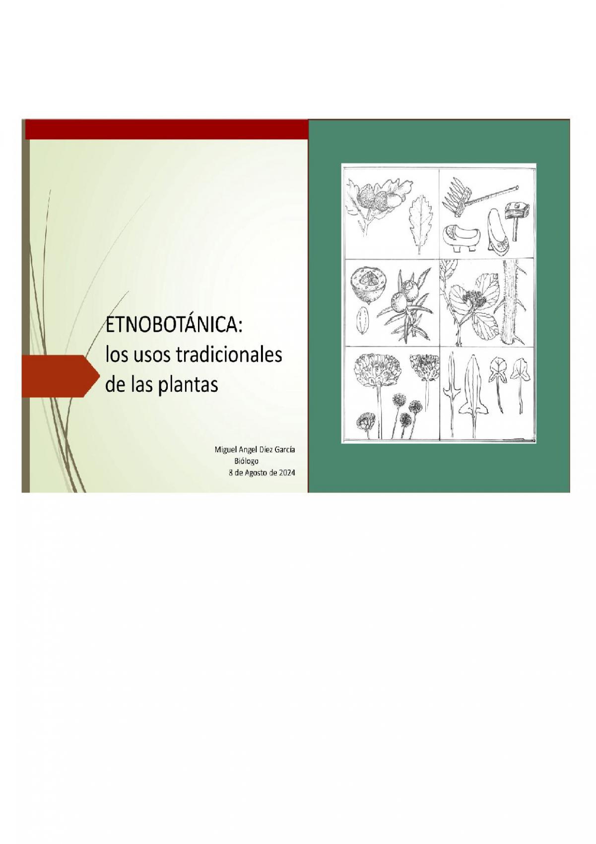 Usos tradicionales de las plantas