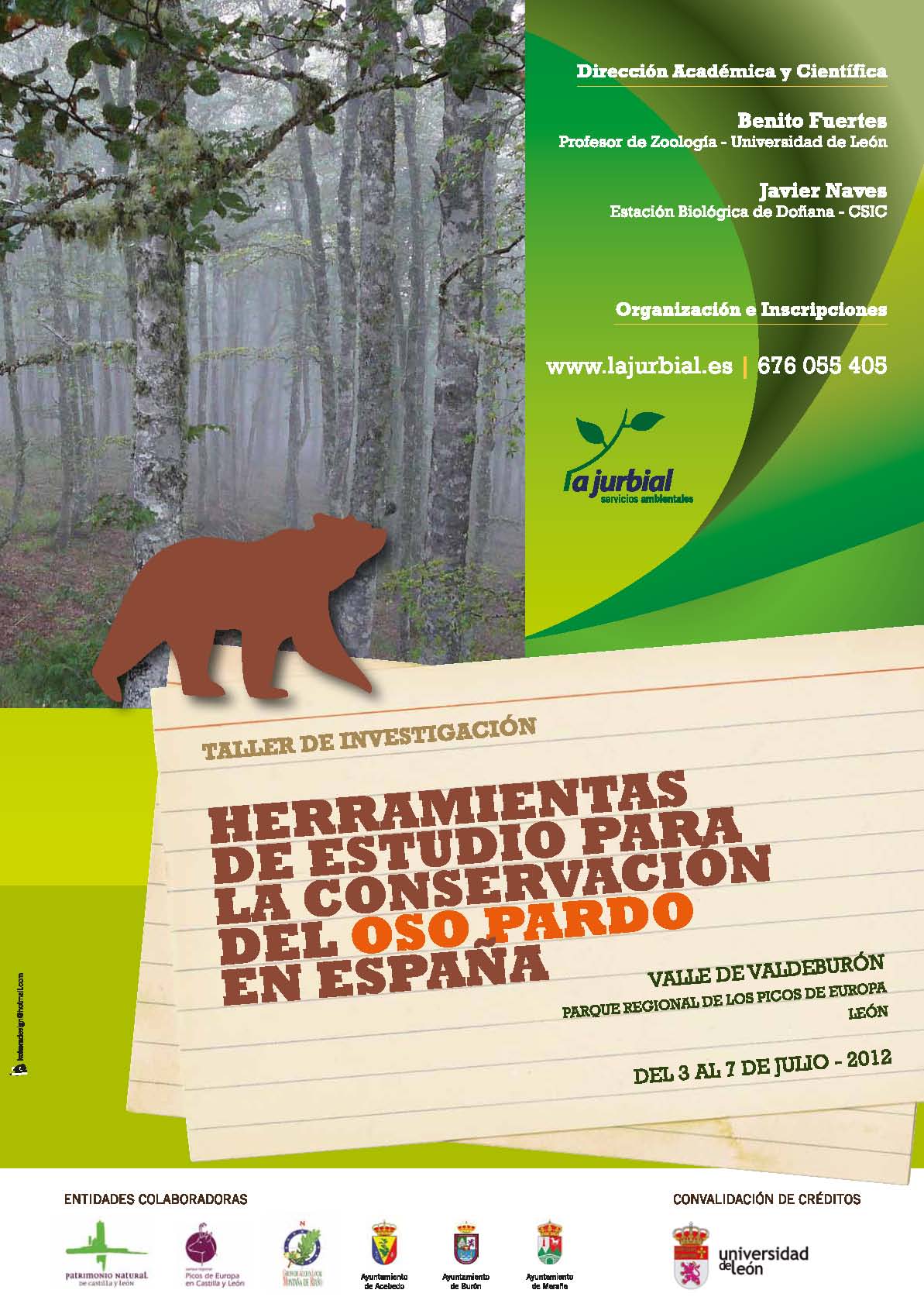 Picos de Europa acogerá en julio un curso sobre la conservación del oso pardo en España 