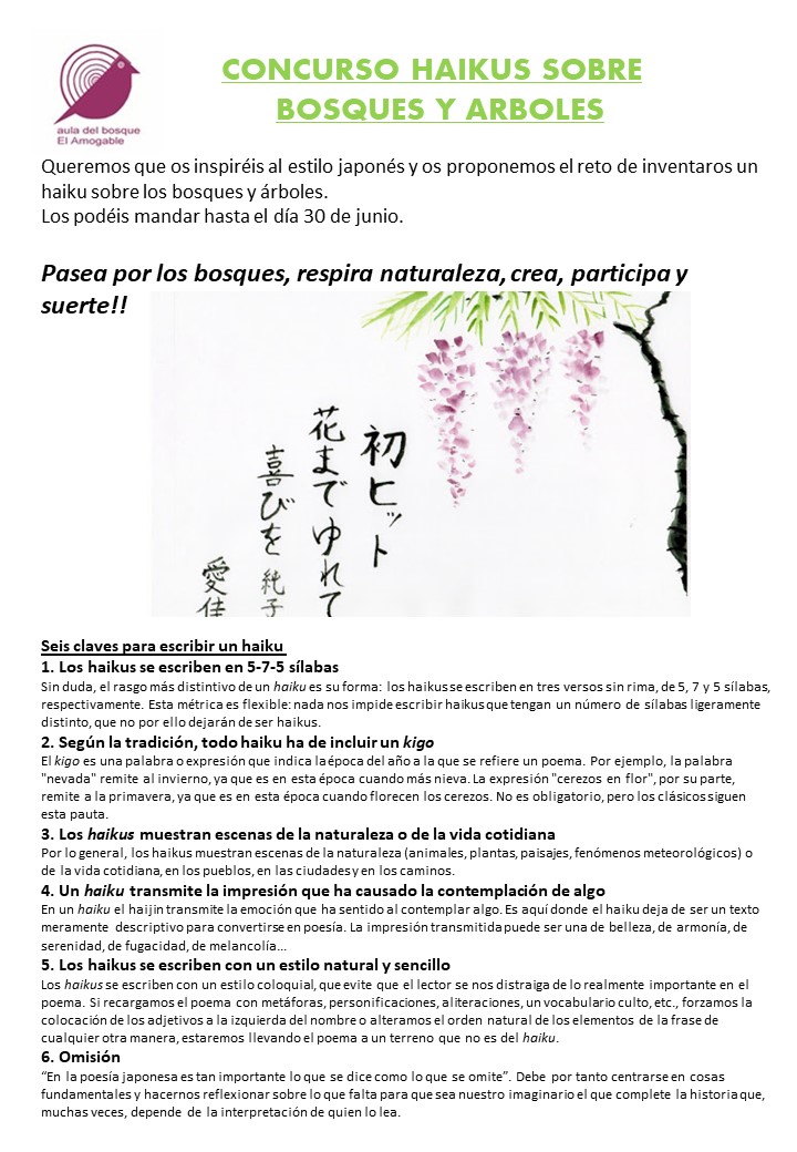 Concurso de Haikus