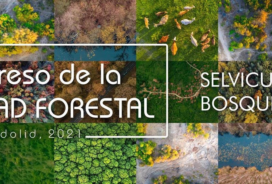 Cerca de 200 inscritos a la Jornada en línea Pre Congreso de la Propiedad Forestal que será inaugurada por el director general de Patrimonio Natural y el presidente de FAFCYLE