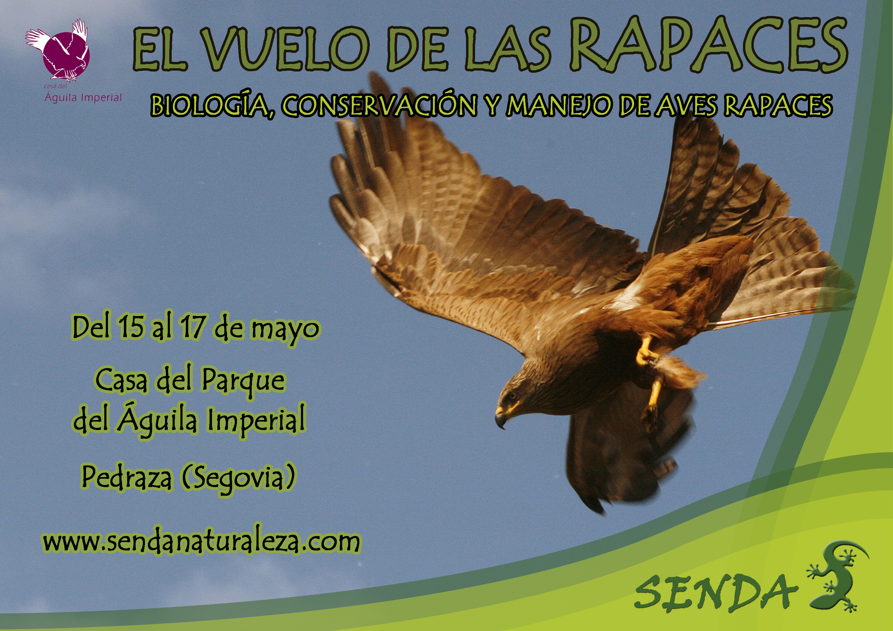 El Centro del Águila Imperial organiza el curso “El Vuelo de las rapaces”