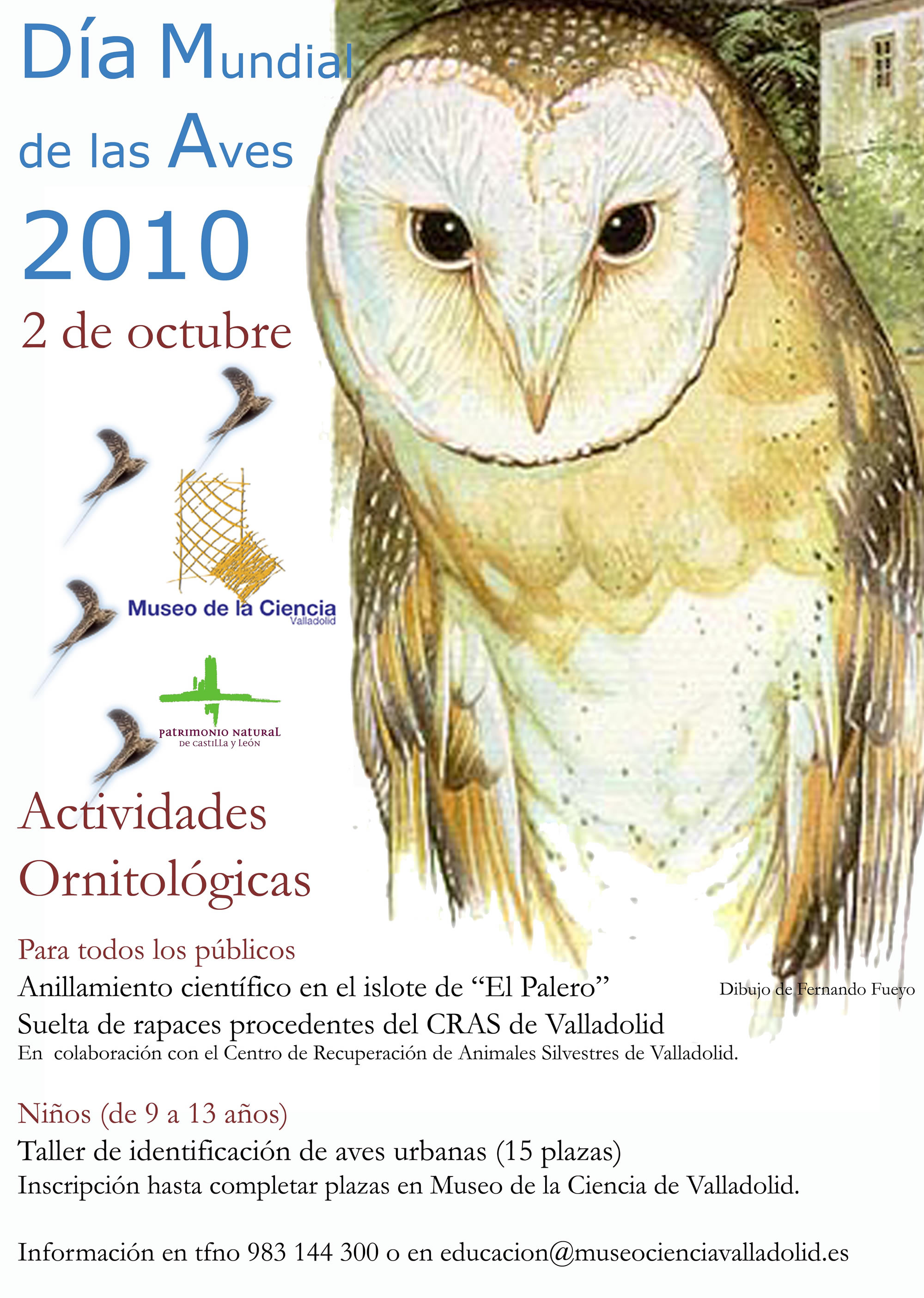 La Fundación Patrimonio Natural y el Museo de la Ciencia de Valladolid, celebran el Día Mundial de las Aves
