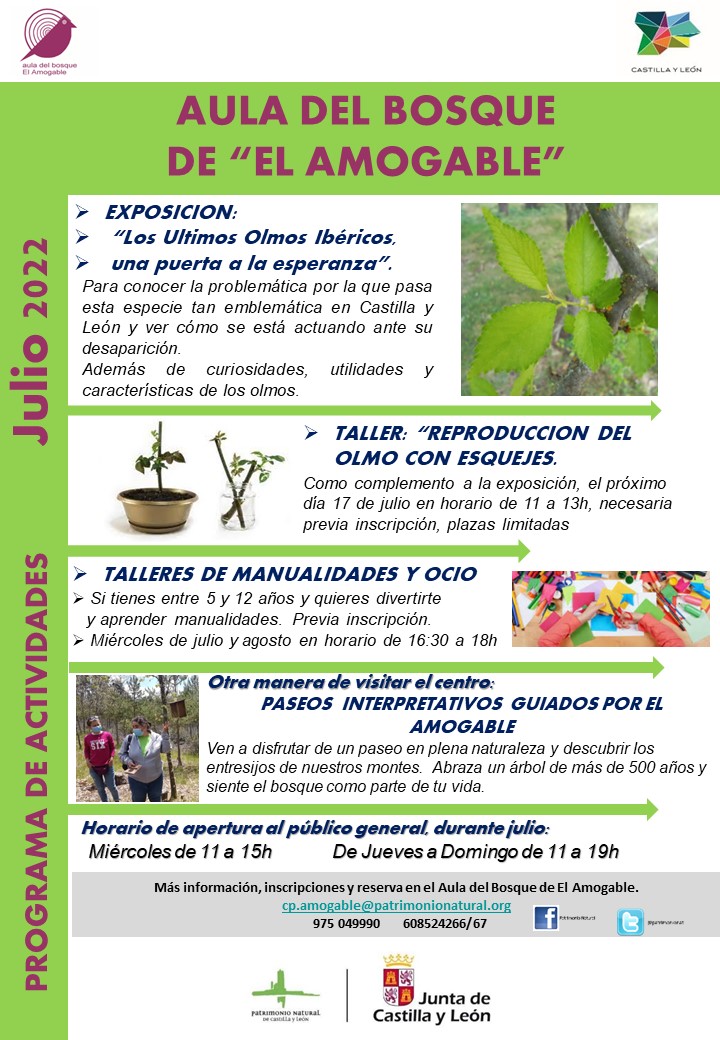 Actividades mes de julio22