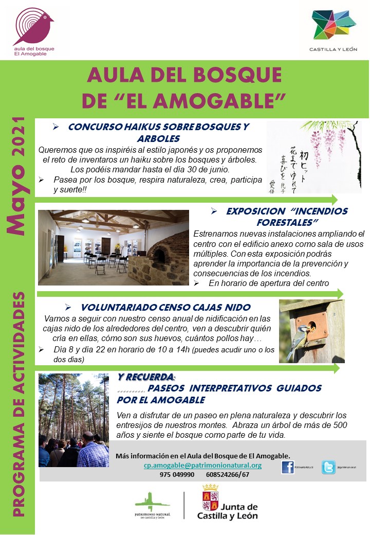 Actividades a lo largo del mes de mayo