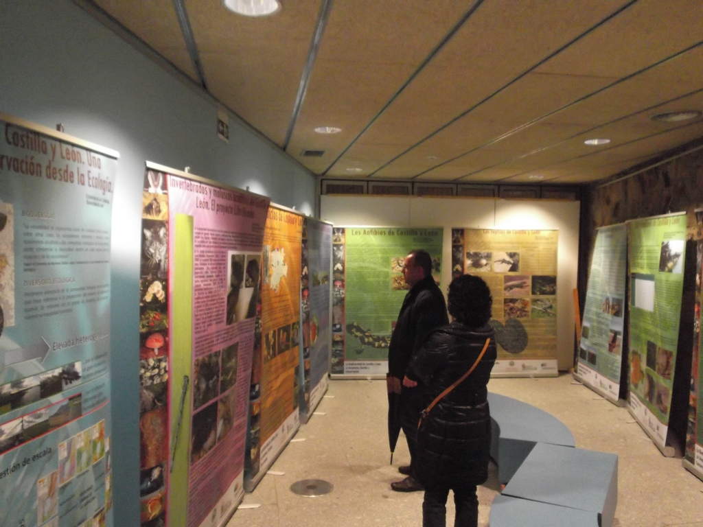 Exposición "La biodiversidad de Castilla y León: su inventario, gestión y conservación"