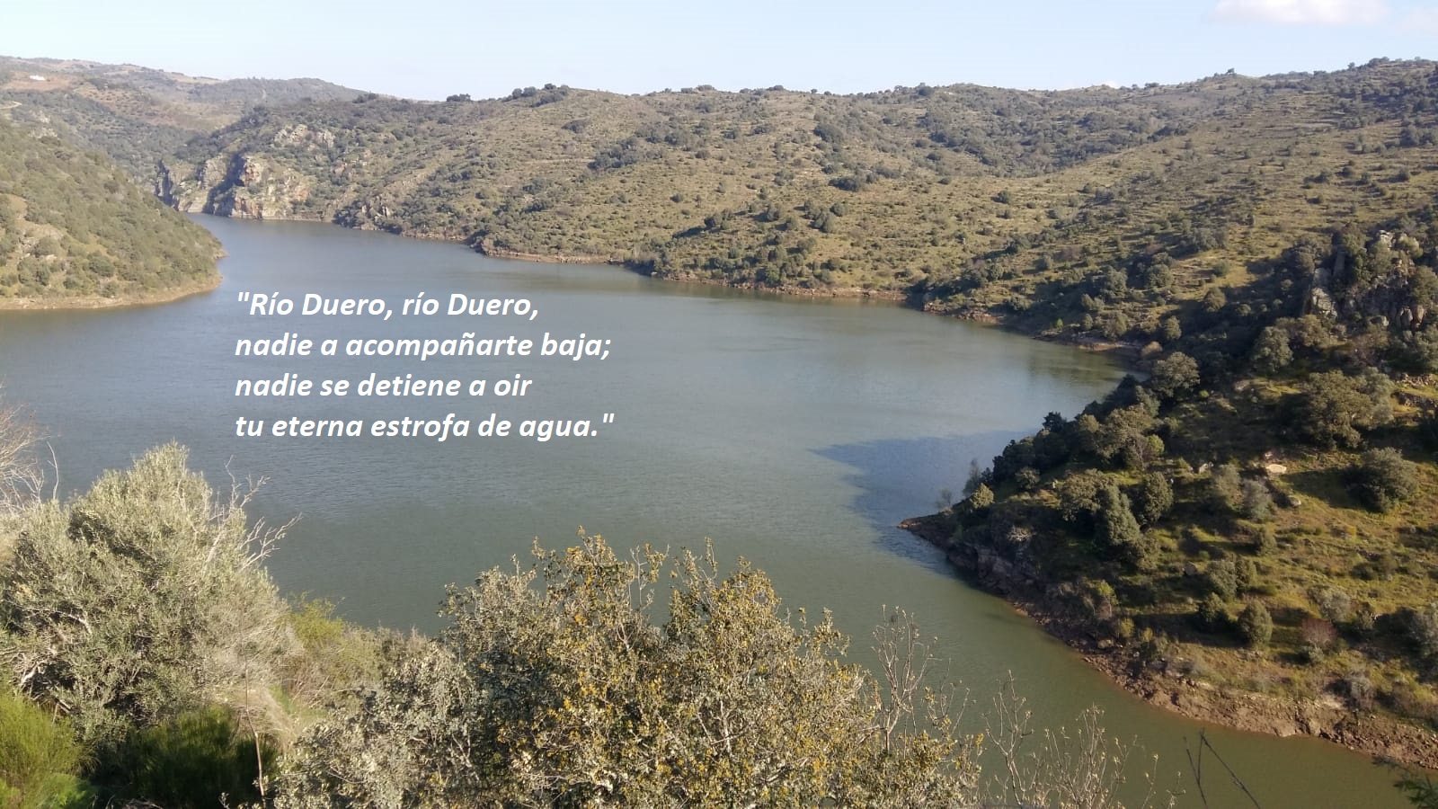 El d-u-e-r-o en letras