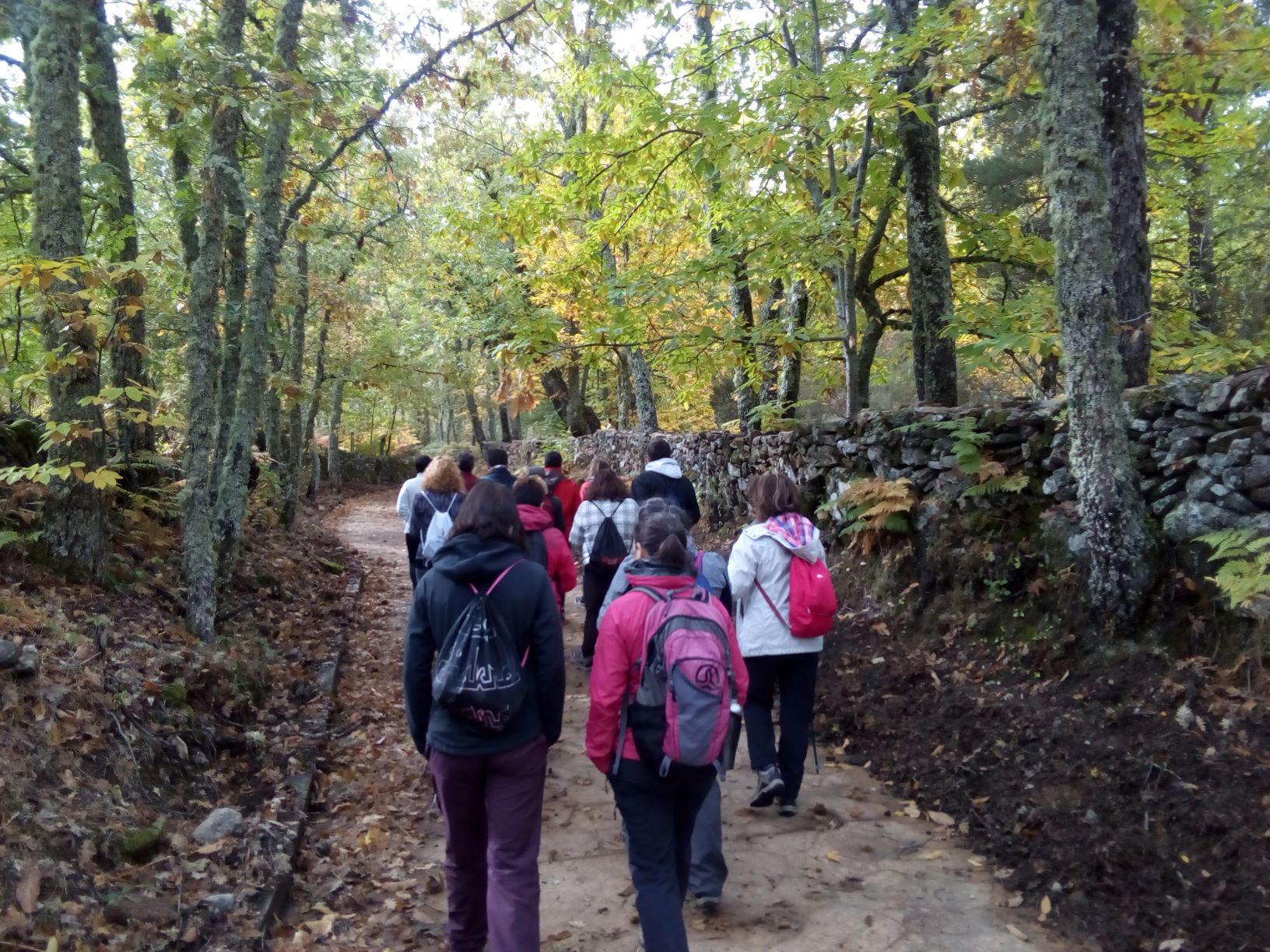 Experiencias en la naturaleza: entre castaños centenarios y piedras talladas (el casarito)