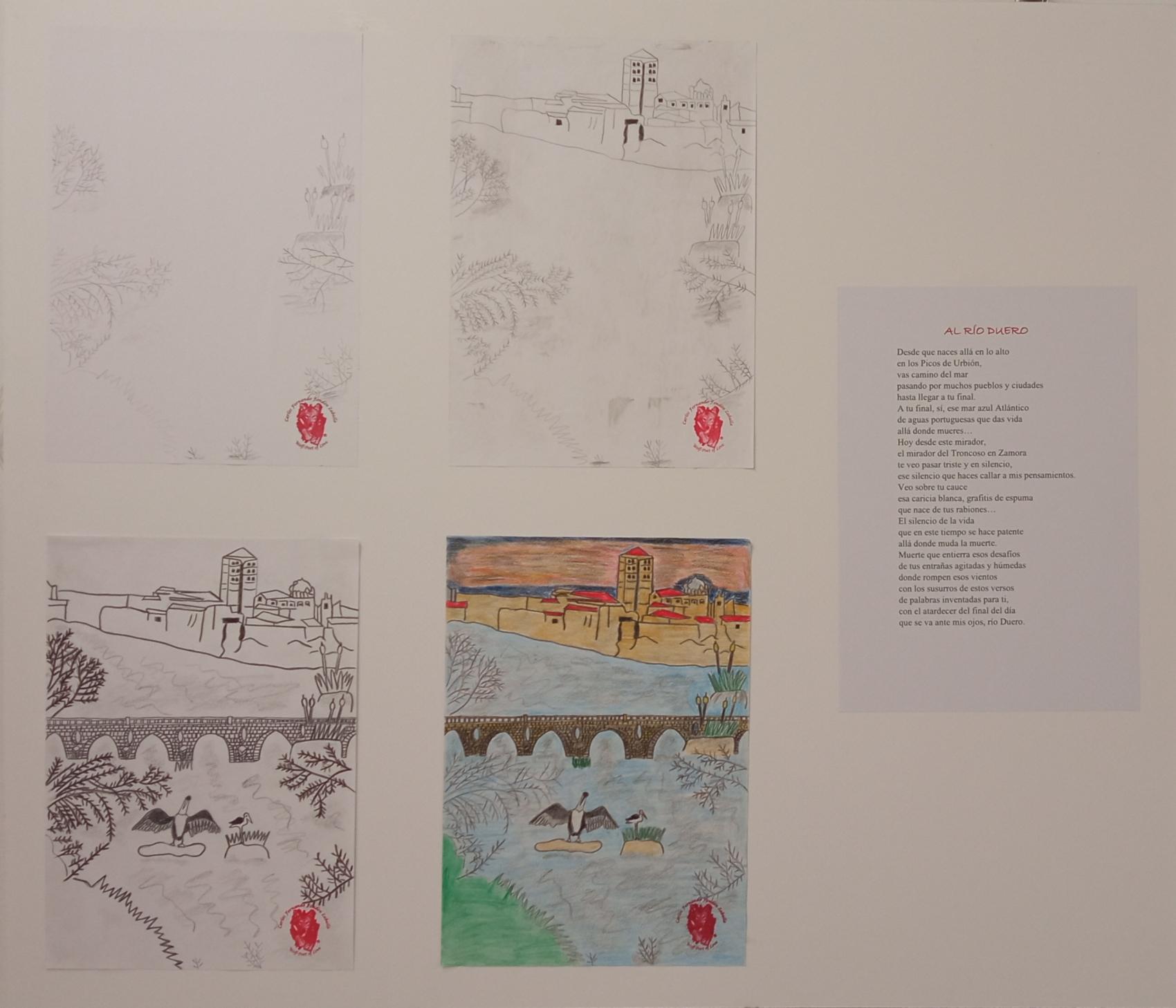Exposición "dibujando letras"