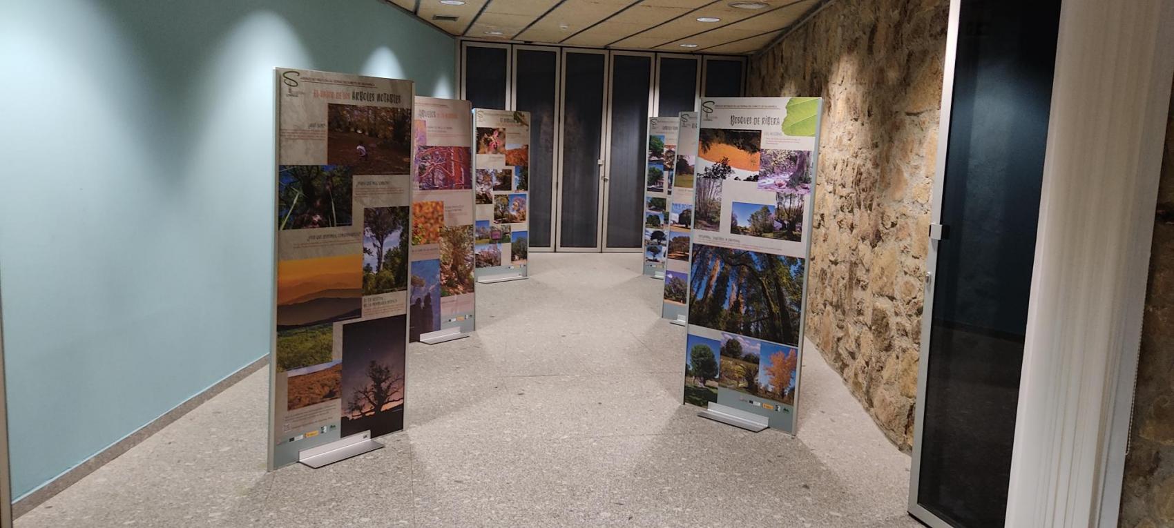 Exposición  acogedoras sombras