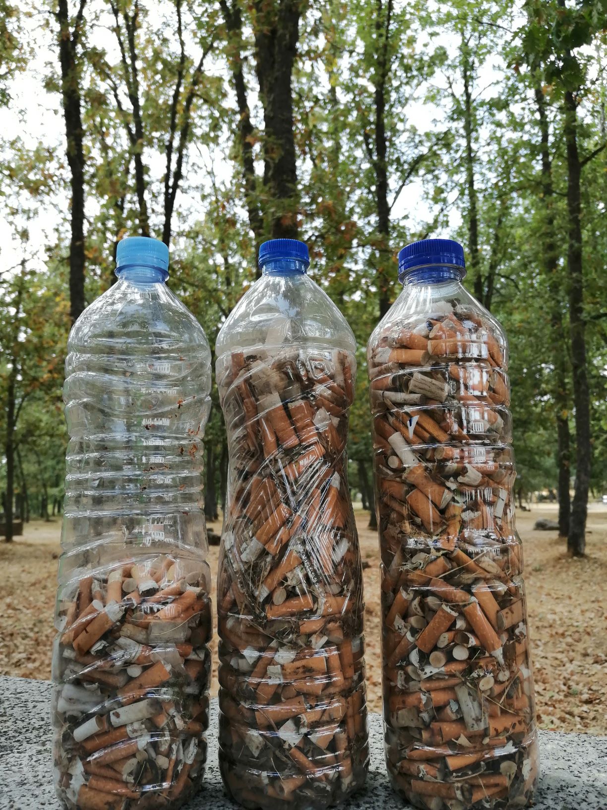 Voluntariado ambiental: ¡1m2 por la naturaleza (la alberca) - proyecto libera!