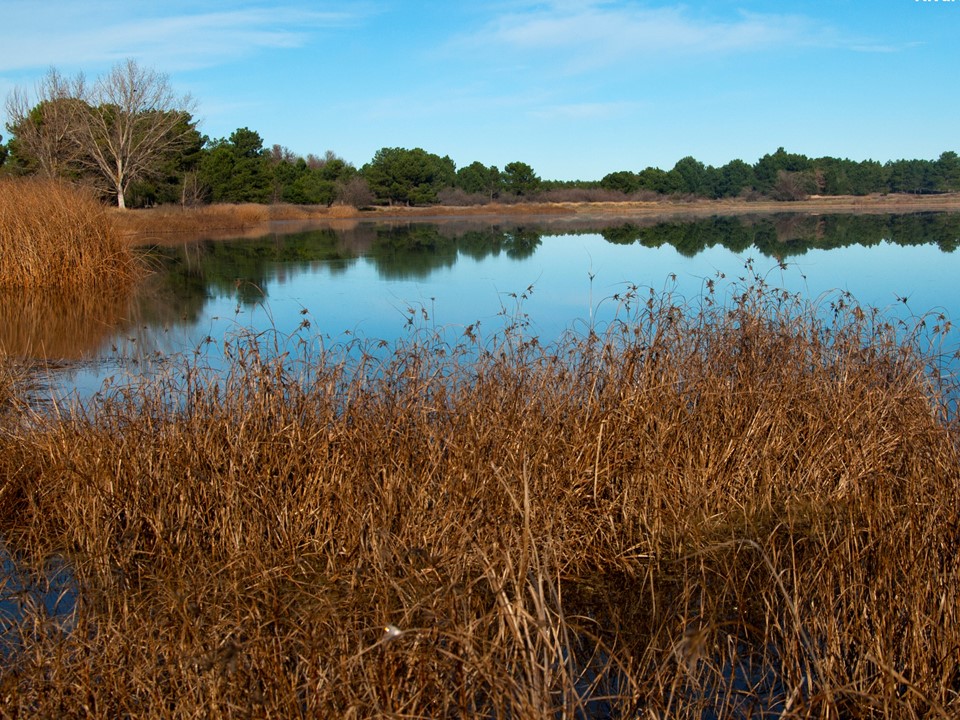 Voluntariado ambiental en las lagunas de cantalejo
