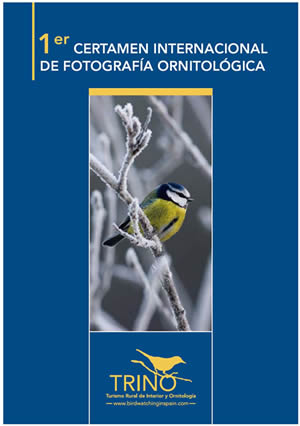 CONCURSO DE FOTOGRAFÍA. PROYECTO TRINO