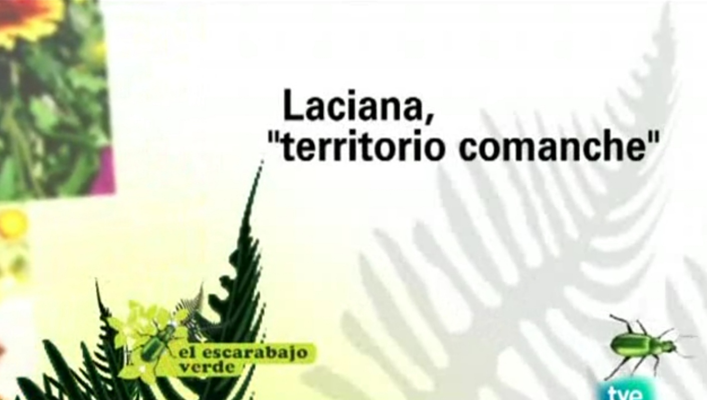 Proyección del "escarabajo verde: laciana, territorio comanche"