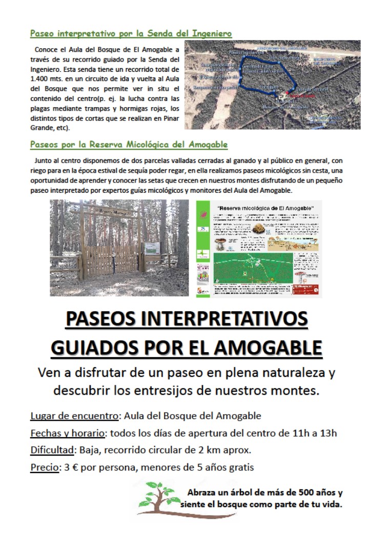 Verano de paseos.