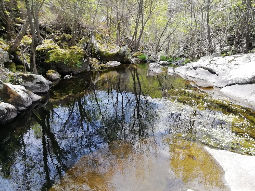 Baños de naturaleza: "pisón, aguas poéticas"