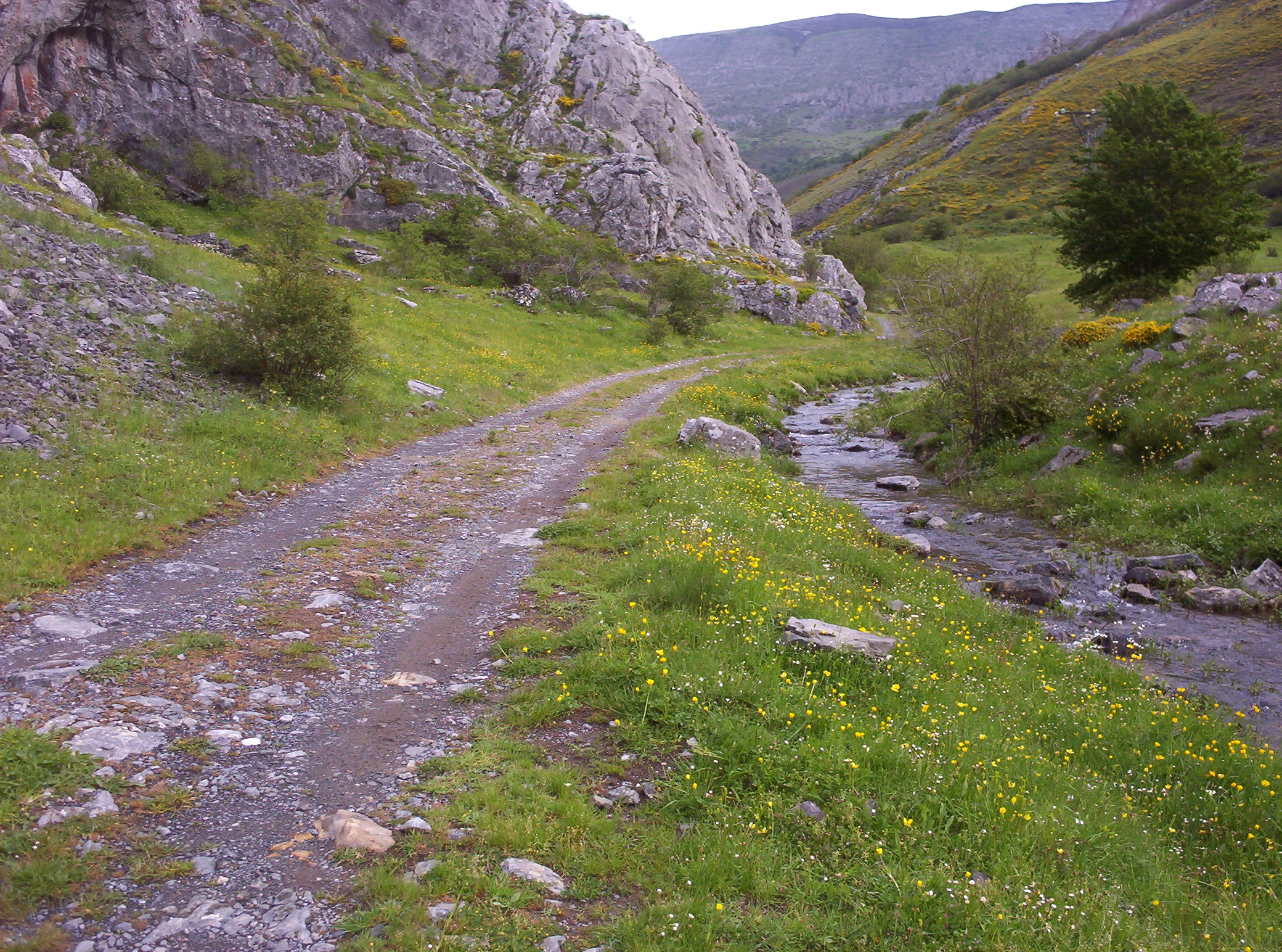 Puerto de Llorada