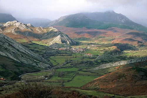 El Pinar de Puebla de Lillo y la micología protagonistas de las próximas actividades de la Casa del Parque de Picos de Europa