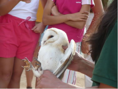 SUELTA DE AVES EN LA RESERVA NATURAL RIBERAS DE CASTRONUÑO – VEGA DEL DUERO