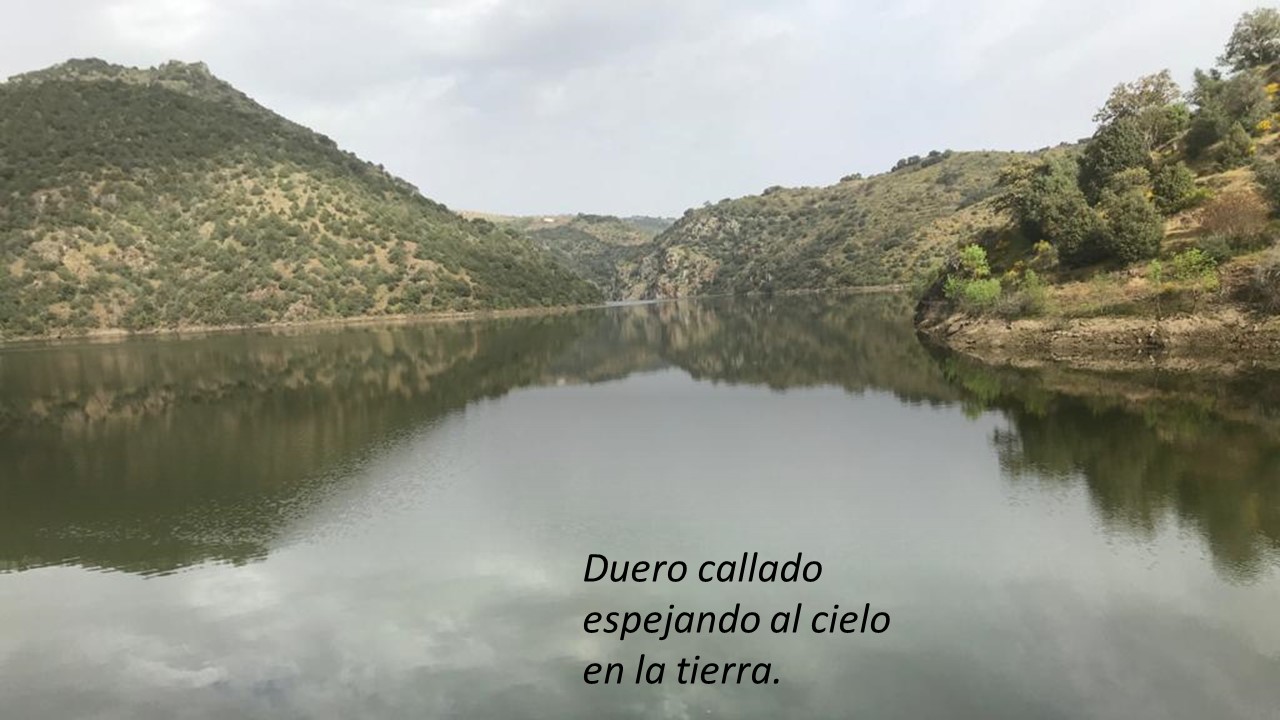 Taller de ilustración y haikus