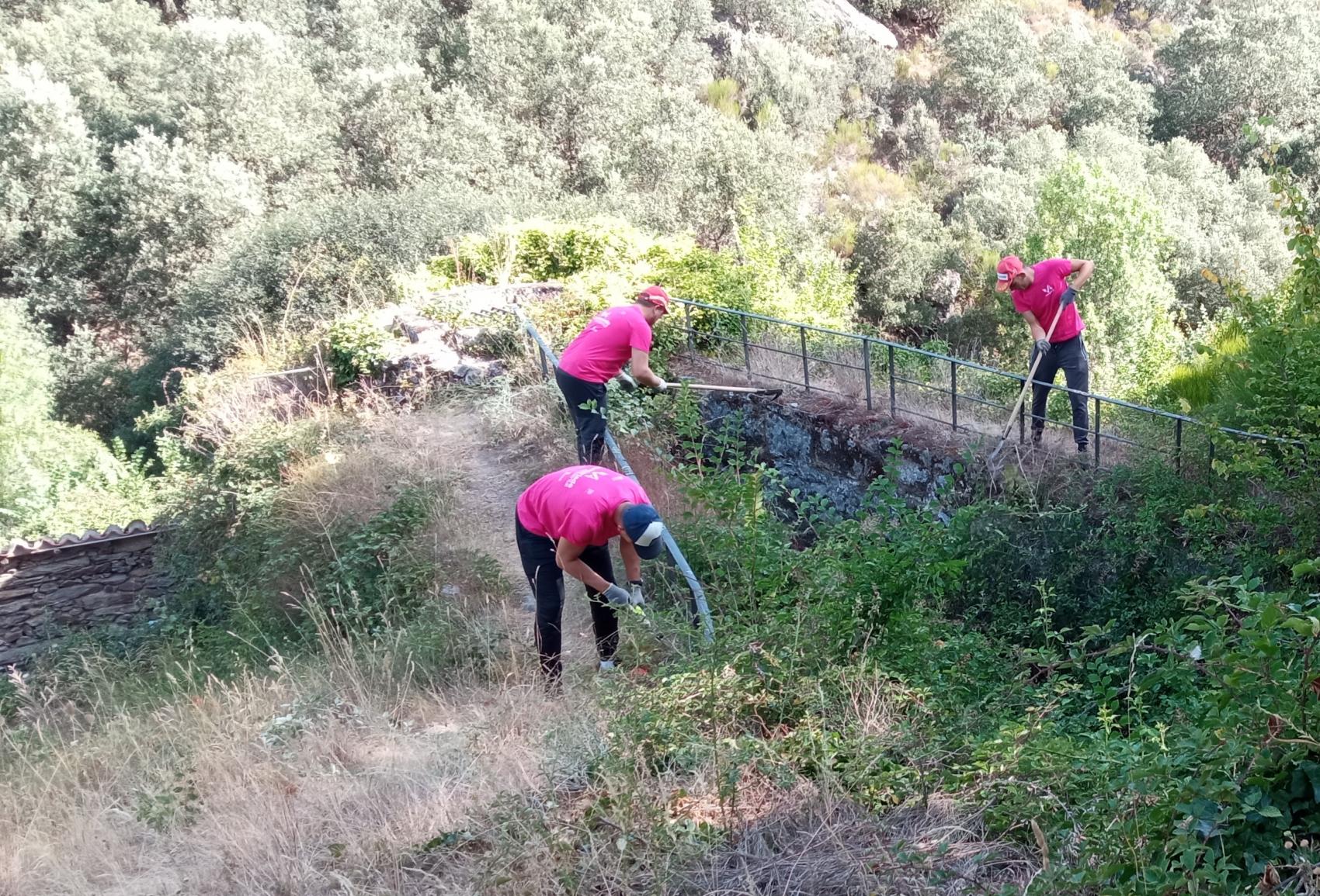 Voluntariado ambiental en fermoselle.