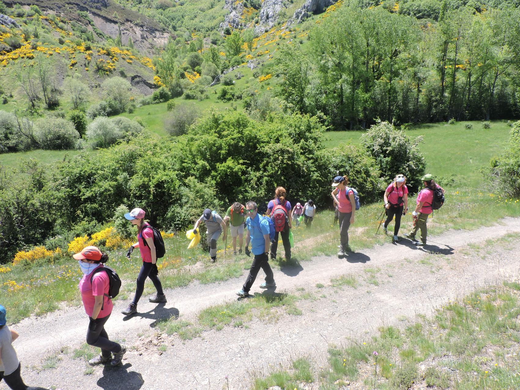 Voluntariado ambiental: acondicionamiento de un hábitat micológico