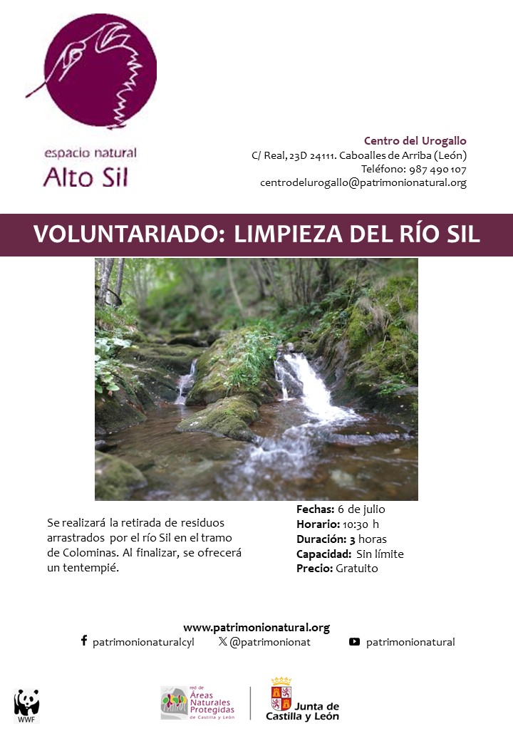 Voluntariado: limpieza del río sil